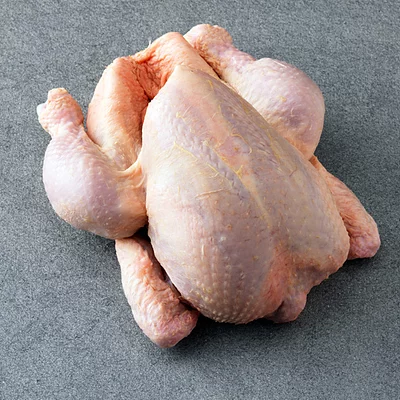 Mistkratzerli - Stubenküken