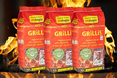 Steakhouse Holzkohle Buche 10kg