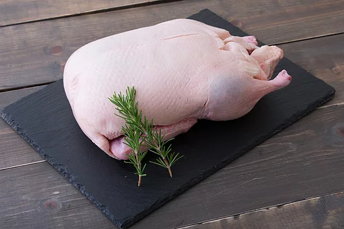 Mistkratzerli - Stubenküken